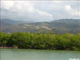 Aguirre Forest - GUAYAMA